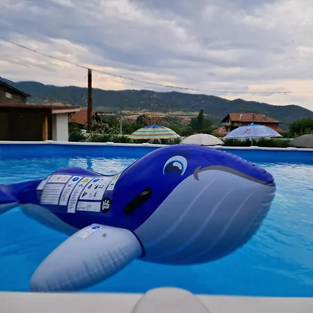 Луксозна вила Popovi *